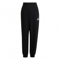 Брюки Adidas W BLUV Q1 PT  thumbnav 2