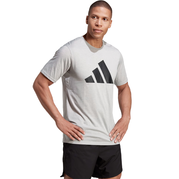 Tricou bărbătesc Adidas TR-ES FR LOGO T XS Gri photo 5