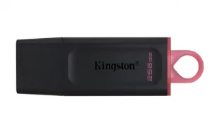 Флеш-накопитель USB Kingston DataTraveler Exodia 256ГБ