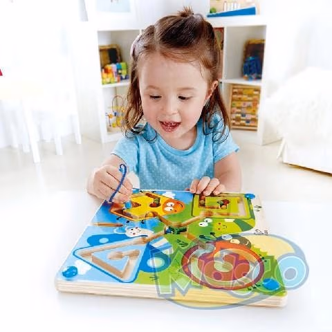 Hape E1709A Best Bugs Magnetic Maze