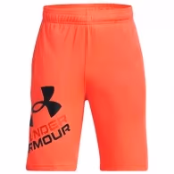 Шорты Under Armour UA BGS PROTOTYPE 2.0 LOGO SHORTS