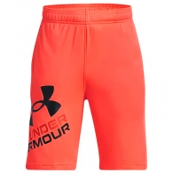 Шорты Under Armour UA BGS PROTOTYPE 2.0 LOGO SHORTS thumbnav