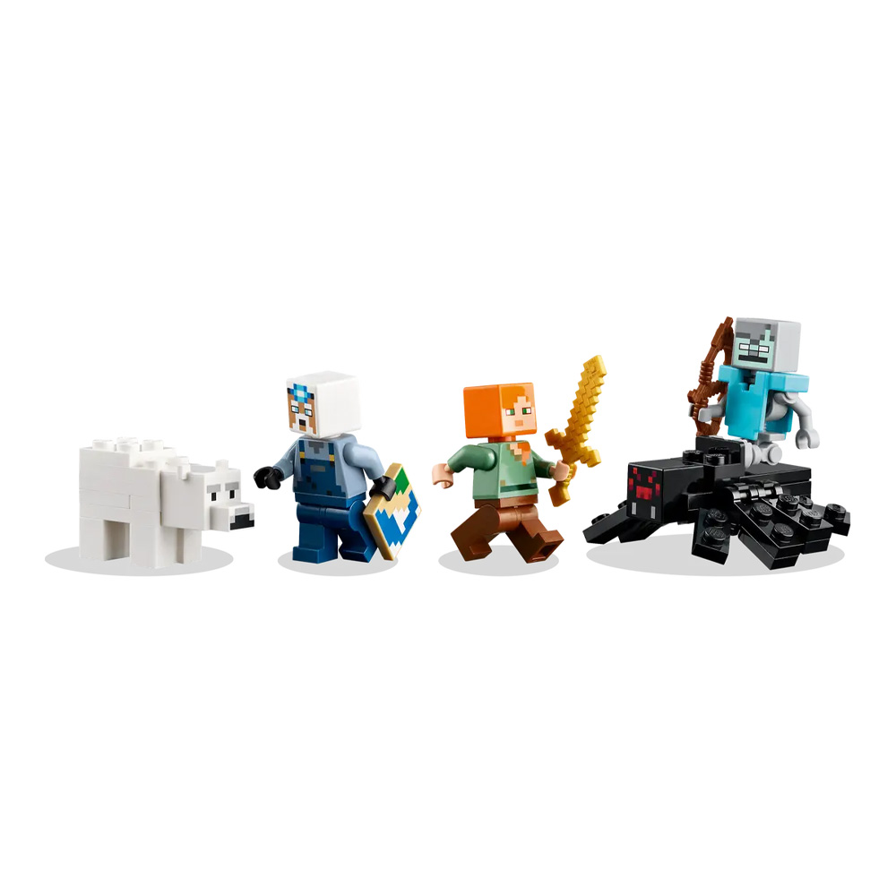 Constructor Lego 21277 photo 4