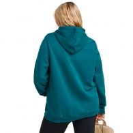 Толстовка Puma ESS Logo Hoodie FL thumbnav 2
