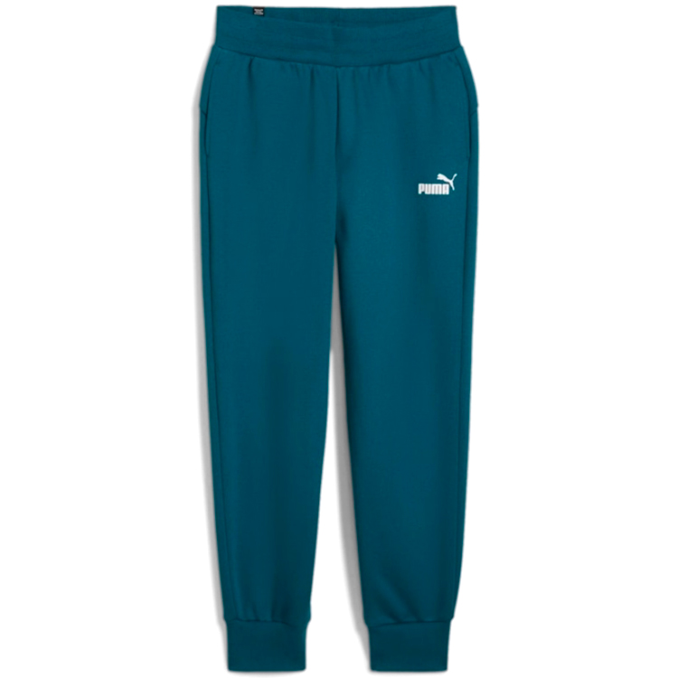 Брюки Puma ESS Sweatpants FL cl photo Брюки Puma ESS Sweatpants FL cl photo