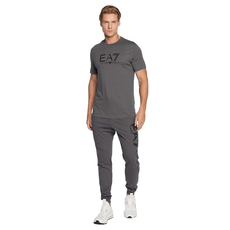 Футболка мужская EA7 EMPORIO ARMANI T-SHIRT M S Серый photo 3