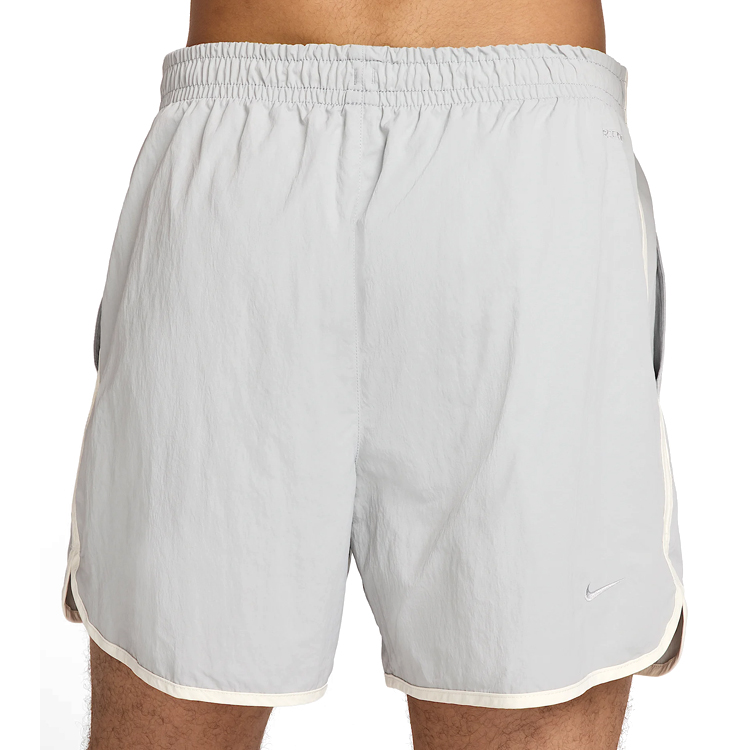 Шорты мужские Nike M NK DF HERITAGE SHORT 5IN UL M Серый photo 9