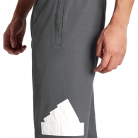 Брюки Adidas M FI BOS PT thumbnav 2