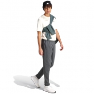 Брюки Adidas M FI BOS PT thumbnav 3