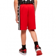 Шорты Nike JDB AIR JORDAN HBR BBALL SH thumbnav 3