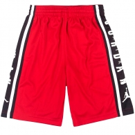Шорты Nike JDB AIR JORDAN HBR BBALL SH thumbnav 6