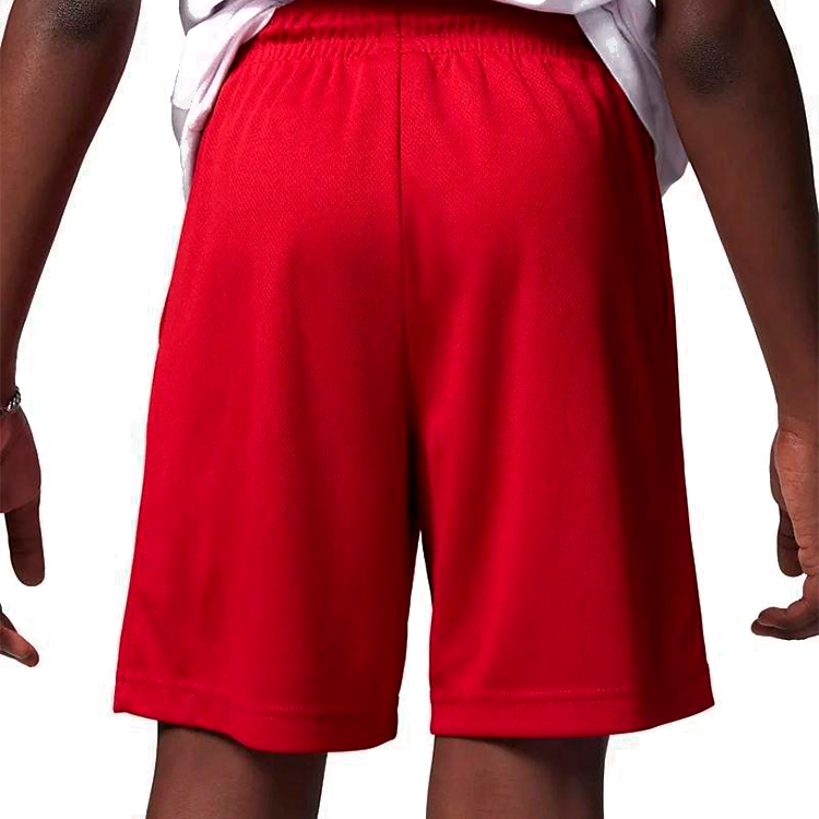 Шорты мужские Nike JDB GYM 23 MESH SHORTS / JDB GYM 23 MESH SHORTS L Красный photo 2