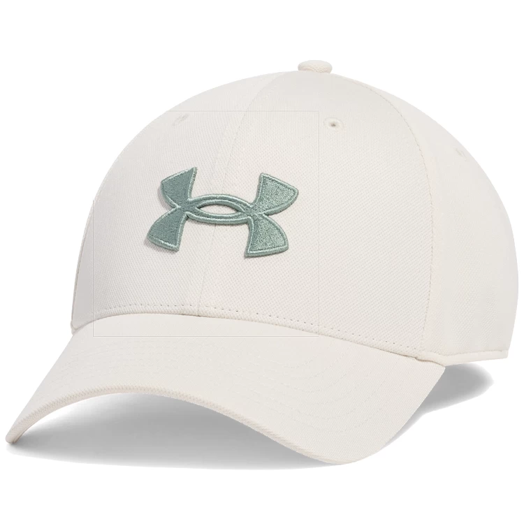 Кепка Under Armour Mens UA Blitzing