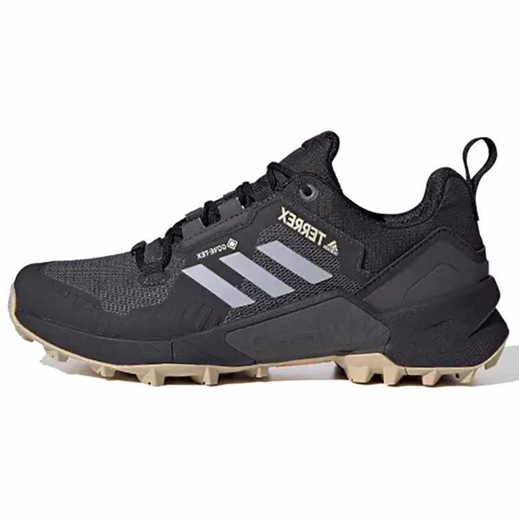Кроссовки Adidas Terrex Swift R3 Gtx W