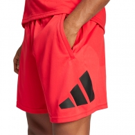 Шорты Adidas TR-ES LOGO SHO thumbnav 4
