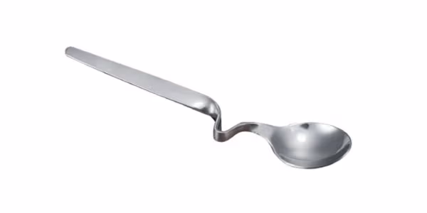 Lingura Tescoma 635080