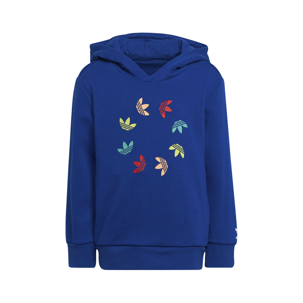 Спортивный костюм Adidas HOODIE SET photo Спортивный костюм Adidas HOODIE SET photo