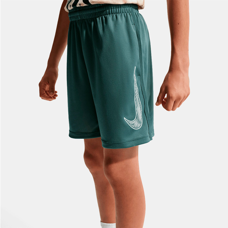 Шорты Nike Multi Dri-FIT