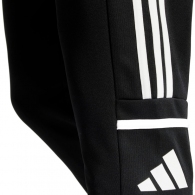 Брюки Adidas SQ25 TR PNT thumbnav 2