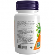 Витамины Now Foods Ginkgo Biloba 120mg thumbnav 3