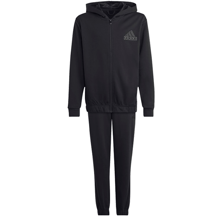 Спортивный костюм Adidas U FI LOGO CO TS photo 