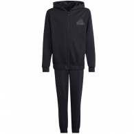 Спортивный костюм Adidas U FI LOGO CO TS thumbnav