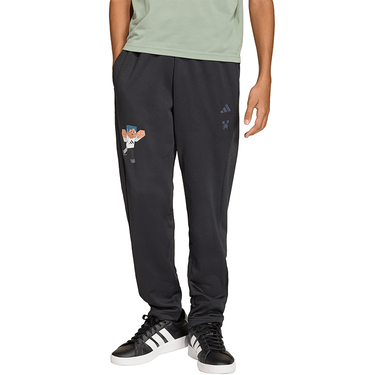 Брюки Adidas MINECRAFT PANT photo 1