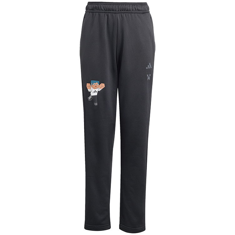 Брюки Adidas MINECRAFT PANT photo 6