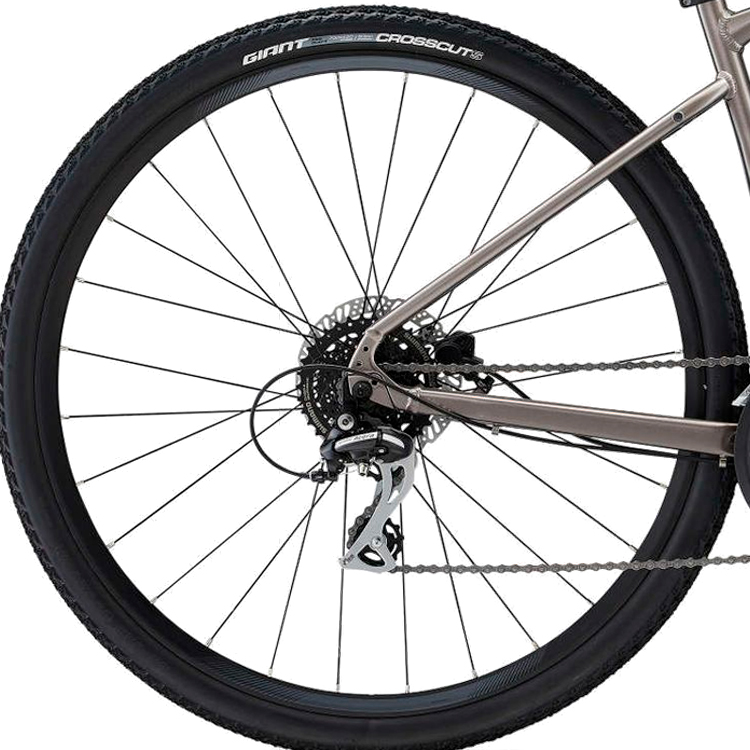 Велосипед дорожный Giant Roam 3 Disc Серый M photo 4