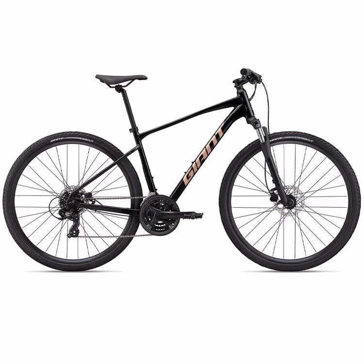 Bicicleta Aventure Giant Roam 4 