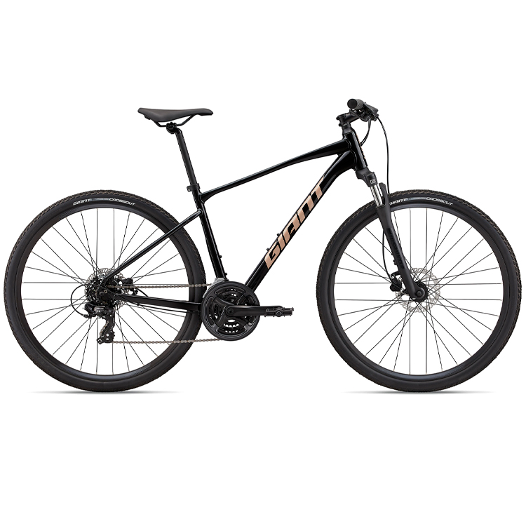 Bicicleta Aventure Giant Roam 4 photo 