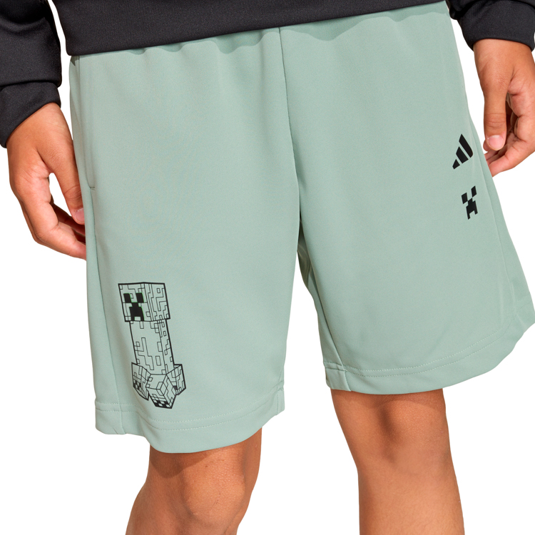 Шорты Adidas MINECRAFT SHORT photo 5