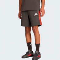 Шорты Adidas AUDI REVOLUT F1 thumbnav 1