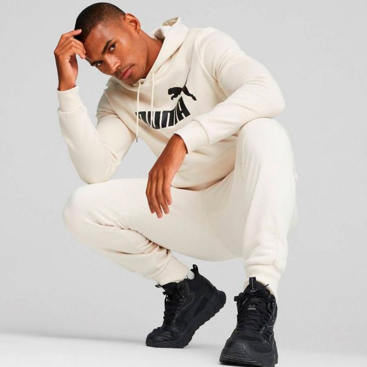 Hanorac pt bărbați Puma ESS Big Logo Hoodie FL XS Bej photo 2