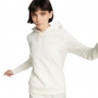 Толстовка Puma ESS+ Embroidery Hoodie FL thumbnav 1