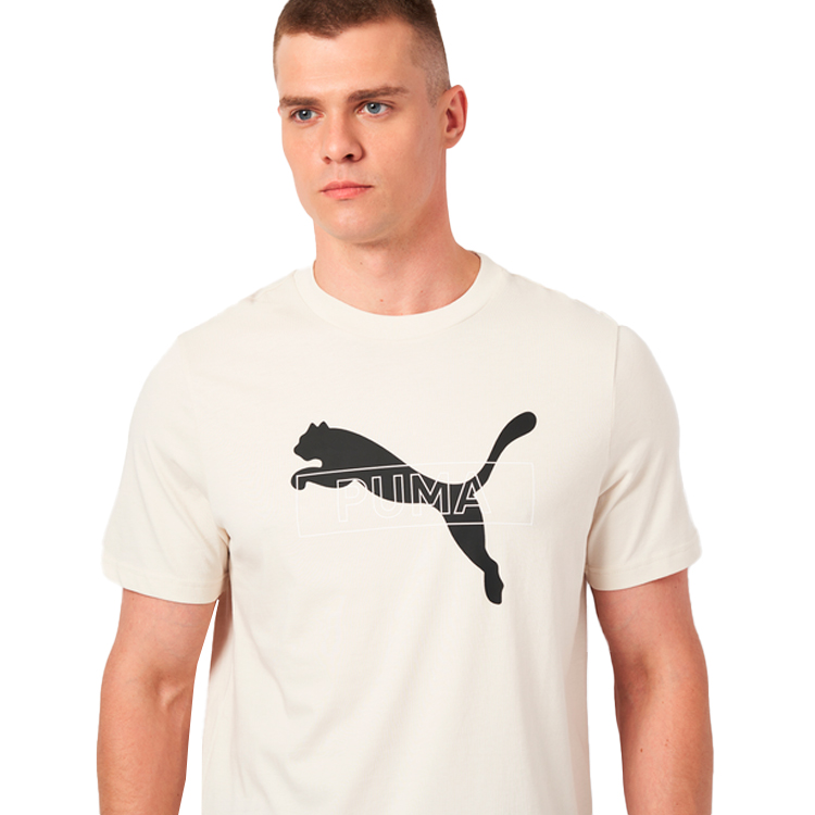 Футболка мужская Puma DESERT ROAD Graphic Tee S Бежевый photo 5