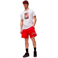 Шорты Nike M J BRK LBR GFX SHORT thumbnav 4