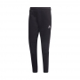 Pantaloni Adidas TIRO TKPNT WR thumbnav
