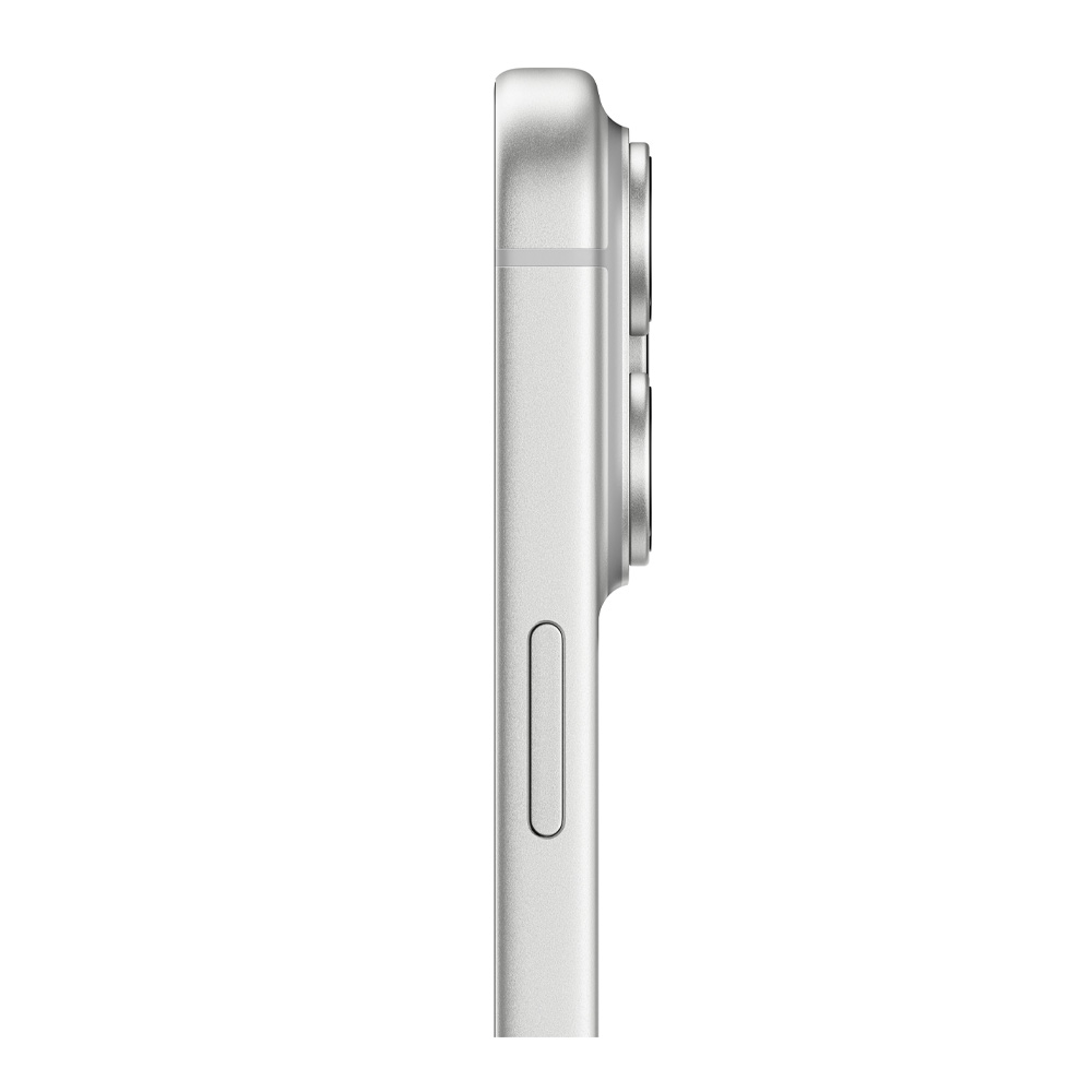 iPhone 17 Pro Max, 1 TB, Silver (MFYV4ZD/A) photo 4