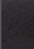 Carnet A4 negru FACT! Plus linie 96 de foi Brunnen