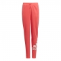 Pantaloni Adidas G BL FT O PT thumbnav 1