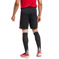 Шорты Adidas TIRO25C TR SHO thumbnav 2