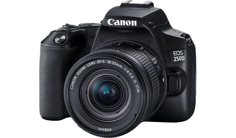 DSLR Camera CANON EOS 250D 18-55 DC III Black (3454C009) photo 2
