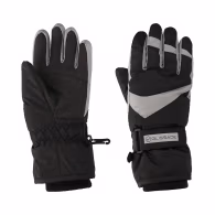 Manusi Glissade Gloves