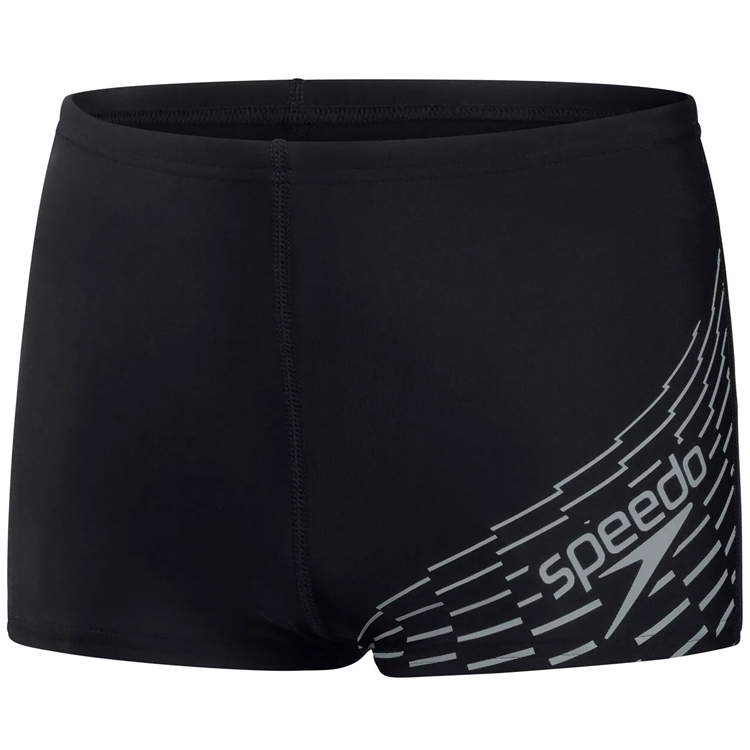 Плавки-шорты Speedo MEDLEY LOGO ASHT JM photo 