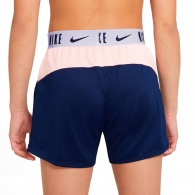 Шорты Nike G NK DF TROPHY 6IN SHORT thumbnav 3