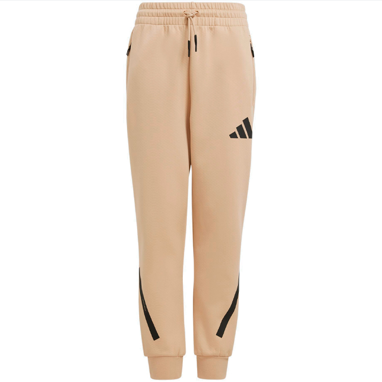 Брюки Adidas J Z.N.E. PT photo 
