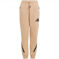 Брюки Adidas J Z.N.E. PT thumbnav