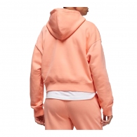 Толстовка Nike W J ESSEN FLC HOODIE CORE thumbnav 3