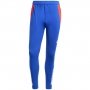 Pantaloni Adidas TIRO24 C TR PNT thumbnav 2
